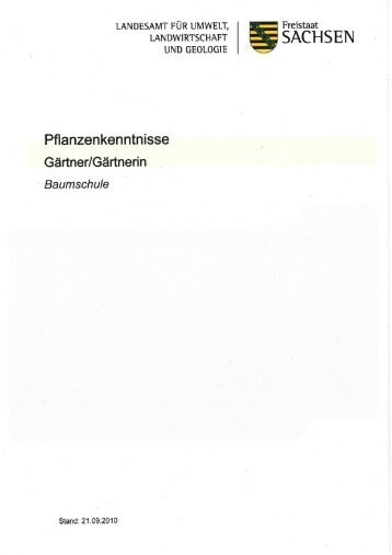 Baumschule [Download,*.pdf, 1,71 MB] - Sächsisches ...