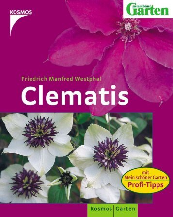 Clematis alpina