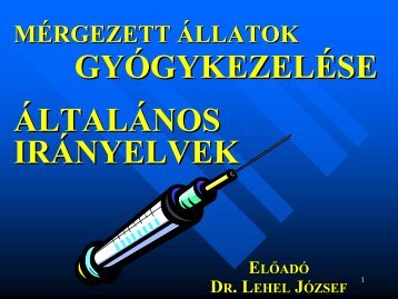 MÉRGEZETT ÁLLATOK GYÓGYKEZELÉSE