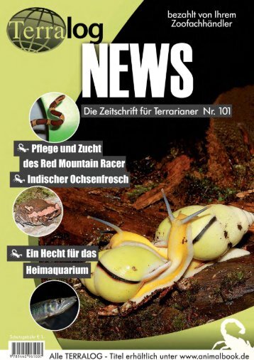 Terralog NEWS 101 - Die Wirbellosen