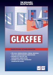 Dr. SCHNELL Glasreiniger Glasfee - MIT Sprühkopf 500 ml