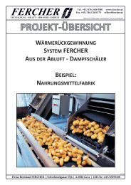 dampfschäler beispiel: nahrungsmittelfabrik projekt ... - FERCHER