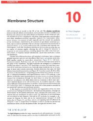 CH10 Membrane Structure.pdf - finedrafts