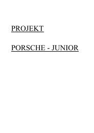 klicken für die komplette Dokumentation des Porsche - dianoia