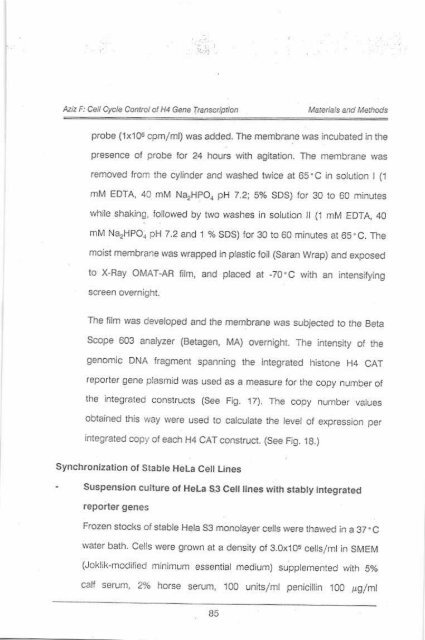 Page 1 \ ?^p 6r.1 CELL CYCLE CONTROL OF HUMAN H4 ...