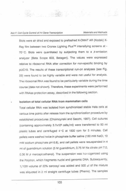 Page 1 \ ?^p 6r.1 CELL CYCLE CONTROL OF HUMAN H4 ...