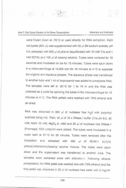 Page 1 \ ?^p 6r.1 CELL CYCLE CONTROL OF HUMAN H4 ...