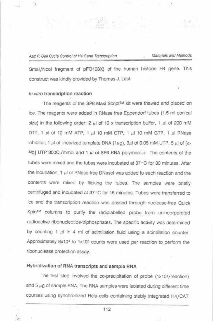 Page 1 \ ?^p 6r.1 CELL CYCLE CONTROL OF HUMAN H4 ...