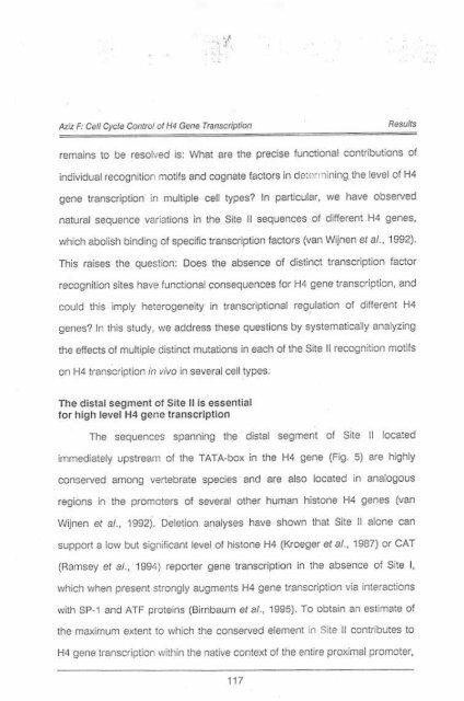 Page 1 \ ?^p 6r.1 CELL CYCLE CONTROL OF HUMAN H4 ...