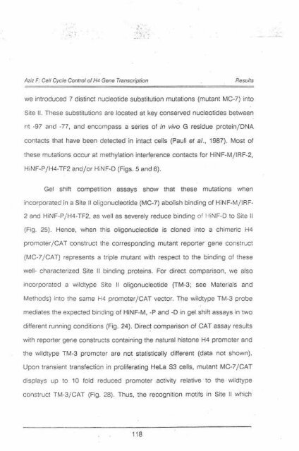 Page 1 \ ?^p 6r.1 CELL CYCLE CONTROL OF HUMAN H4 ...