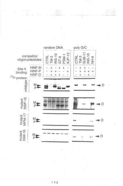 Page 1 \ ?^p 6r.1 CELL CYCLE CONTROL OF HUMAN H4 ...