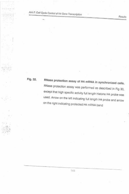 Page 1 \ ?^p 6r.1 CELL CYCLE CONTROL OF HUMAN H4 ...