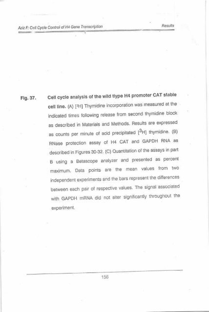 Page 1 \ ?^p 6r.1 CELL CYCLE CONTROL OF HUMAN H4 ...