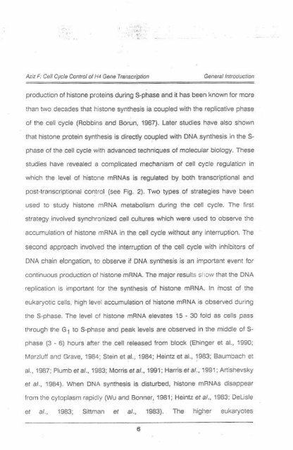 Page 1 \ ?^p 6r.1 CELL CYCLE CONTROL OF HUMAN H4 ...