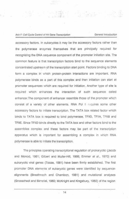 Page 1 \ ?^p 6r.1 CELL CYCLE CONTROL OF HUMAN H4 ...