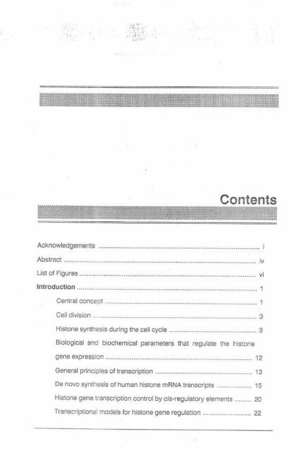 Page 1 \ ?^p 6r.1 CELL CYCLE CONTROL OF HUMAN H4 ...