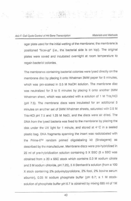 Page 1 \ ?^p 6r.1 CELL CYCLE CONTROL OF HUMAN H4 ...