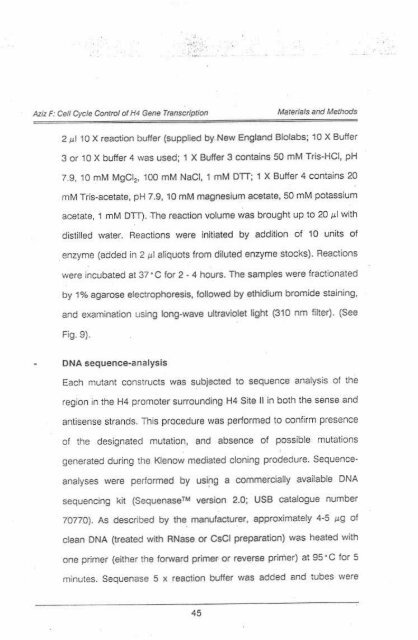 Page 1 \ ?^p 6r.1 CELL CYCLE CONTROL OF HUMAN H4 ...