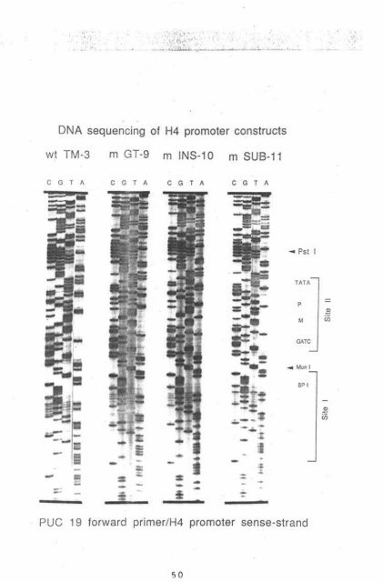 Page 1 \ ?^p 6r.1 CELL CYCLE CONTROL OF HUMAN H4 ...