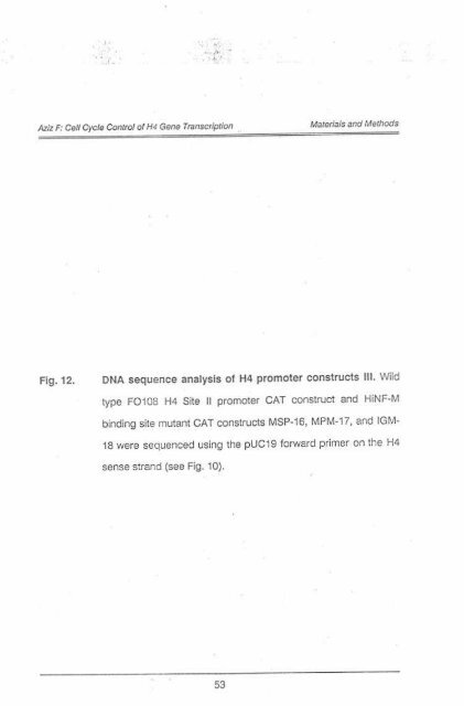 Page 1 \ ?^p 6r.1 CELL CYCLE CONTROL OF HUMAN H4 ...