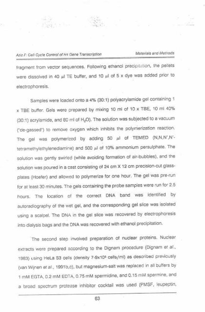 Page 1 \ ?^p 6r.1 CELL CYCLE CONTROL OF HUMAN H4 ...