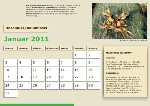 Kalender 2011