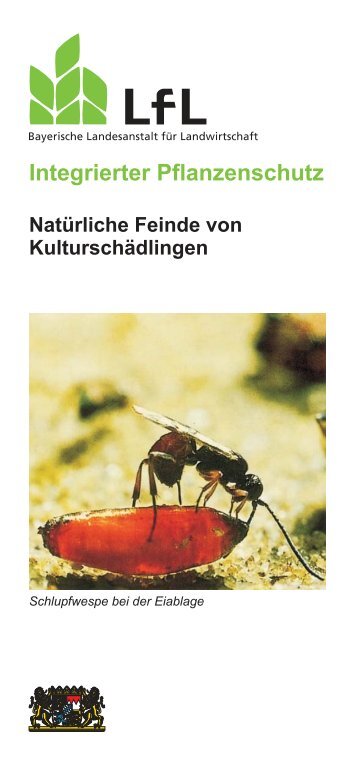 Natürliche Feinde von Kulturschädlingen Integrierter Pflanzenschutz