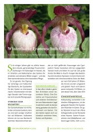Winterharte Frauenschuh-Orchideen - Cypripedium.de