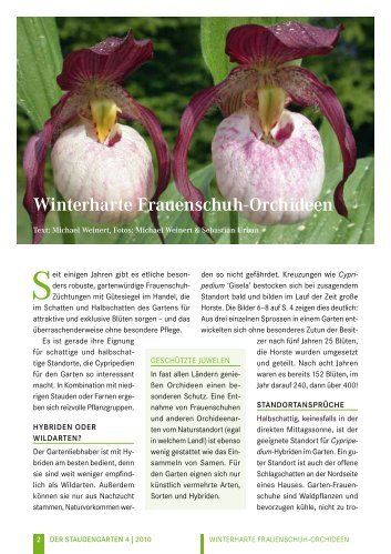 Winterharte Frauenschuh-Orchideen - Cypripedium.de