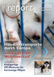 absolut-hund report - Leben mit 4 Pfoten