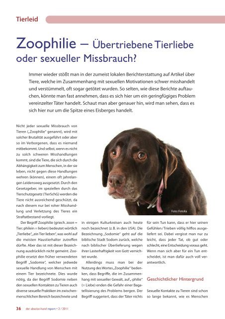 Tierleid - Problemhundtherapie in NRW