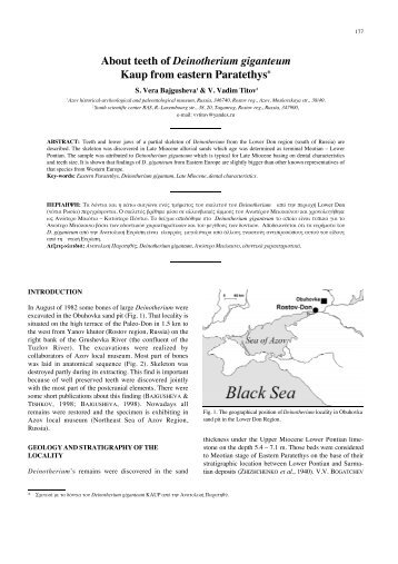 About teeth of Deinotherium giganteum Kaup from eastern Paratethys*