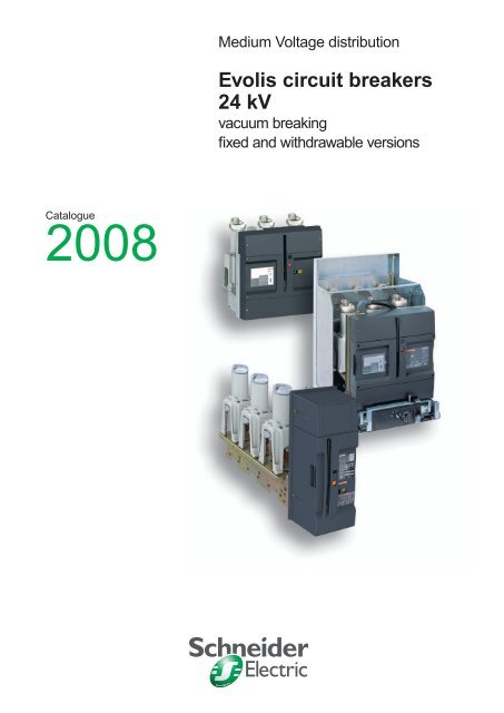 Evolis circuit breakers 24 kV - engineering site - Schneider Electric