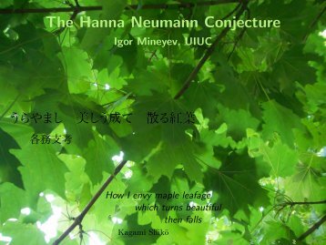 The Hanna Neumann Conjecture