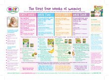 hipp organic weaning chart