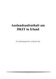 Auslandsaufenthalt am DKIT in Irland - Fachhochschule ...