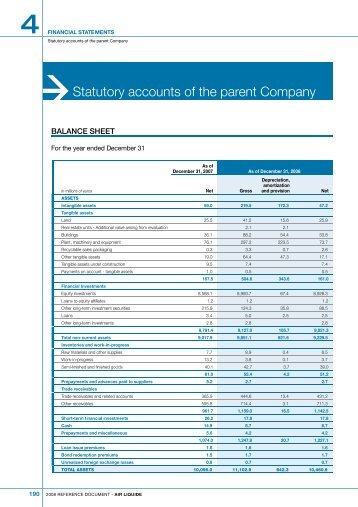 Statutory accounts of the parent Company