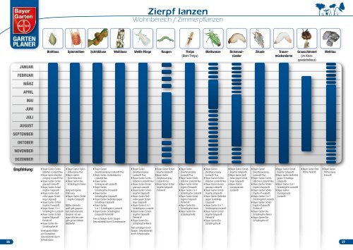 Zierpf Lanzen Bayer Garten