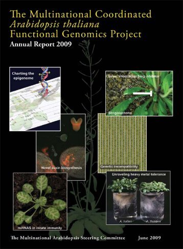 Arabidopsis thaliana - National Science Foundation