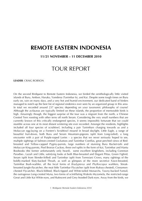INDONESIA (REMOTE EASTERN) REP 10 - Birdquest
