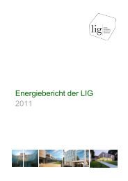 Ing. S. Mathelitsch, H. Reichl, Ing. A. Scharl - LIG