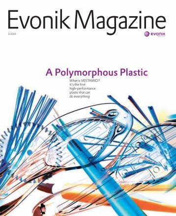 Evonik Magazine 2/2009 - Evonik Industries