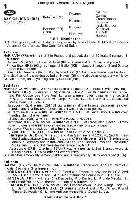 Consigned by Boardsmill Stud (Agent) Doyoun Mill Reef ... - Goffs