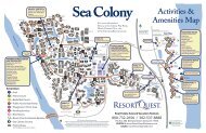 Sea Colony