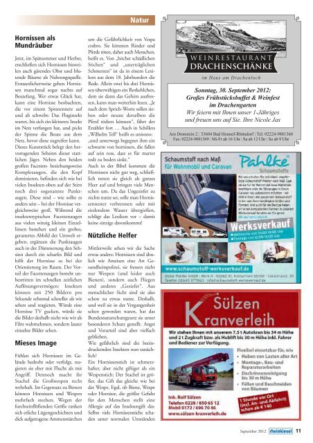 Ausgabe lesen - Rheinkiesel