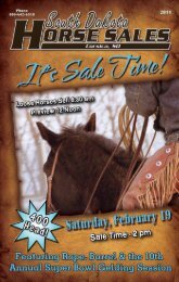 One Of South Dakotas Oldest Western Wear And - Corsica Horse Sale