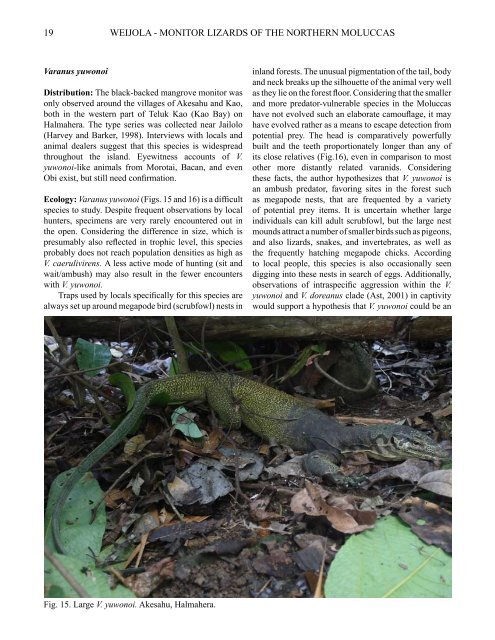 Vol. 4 No. 1 - International Varanid Interest Group