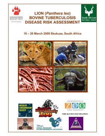 LION (Panthera leo) BOVINE TUBERCULOSIS DISEASE RISK ...