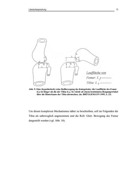 Dissertation Matthias Schuhmacher