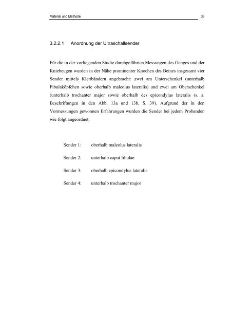 Dissertation Matthias Schuhmacher